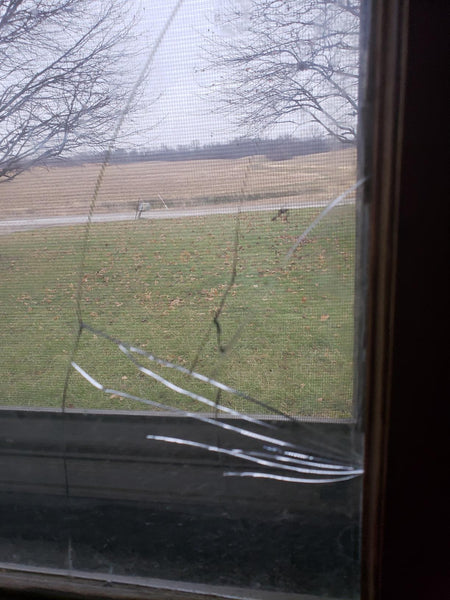 Window Security Film