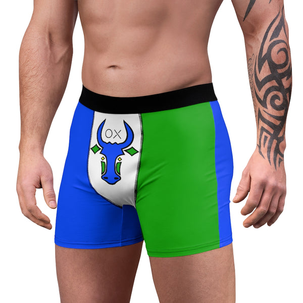 Year of the Ox Men's Boxer Briefs