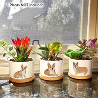 Corgi Succulent Planters