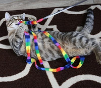 Rainbow Dangling Cat Charmer