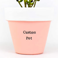 Personalized Indoor Plant Pot