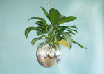 Disco Ball Planter