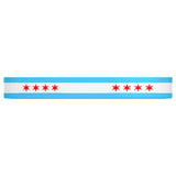 Chicago Flag Pet Bowl