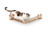 Cat Suspension Draw Bridge