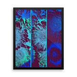 Blue Flower Triptych, Framed Poster