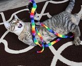 Rainbow Dangling Cat Charmer