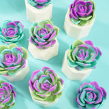 Handmade Succulent Soaps