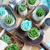 Handmade Succulent Soaps